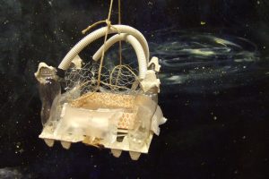 a kind of space plane made from egg carton, strings, wire and fabric